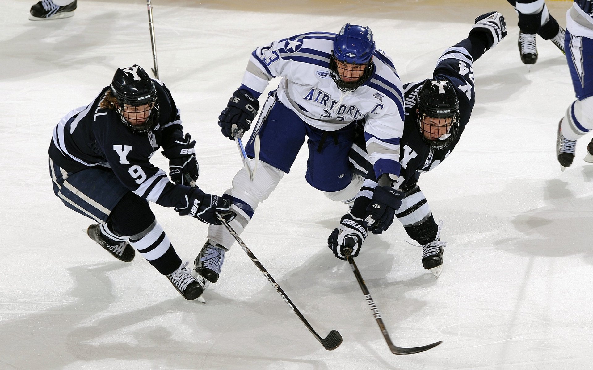 “篮球+环保”公益行动在全国范围内展开，推动绿色运动，绿色环保公益项目